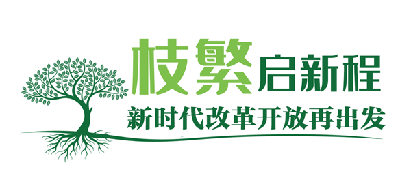 高山榕树5.png