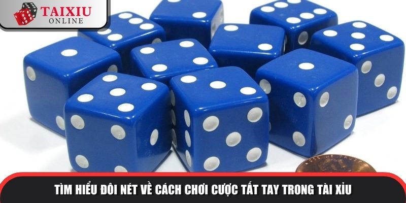 tat tay trong tai xiu 1 1064 Tìm hiểu đôi nét về cách chơi cược tất tay trong tài xỉu